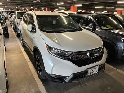 2019 Honda CR-V - Thumbnail